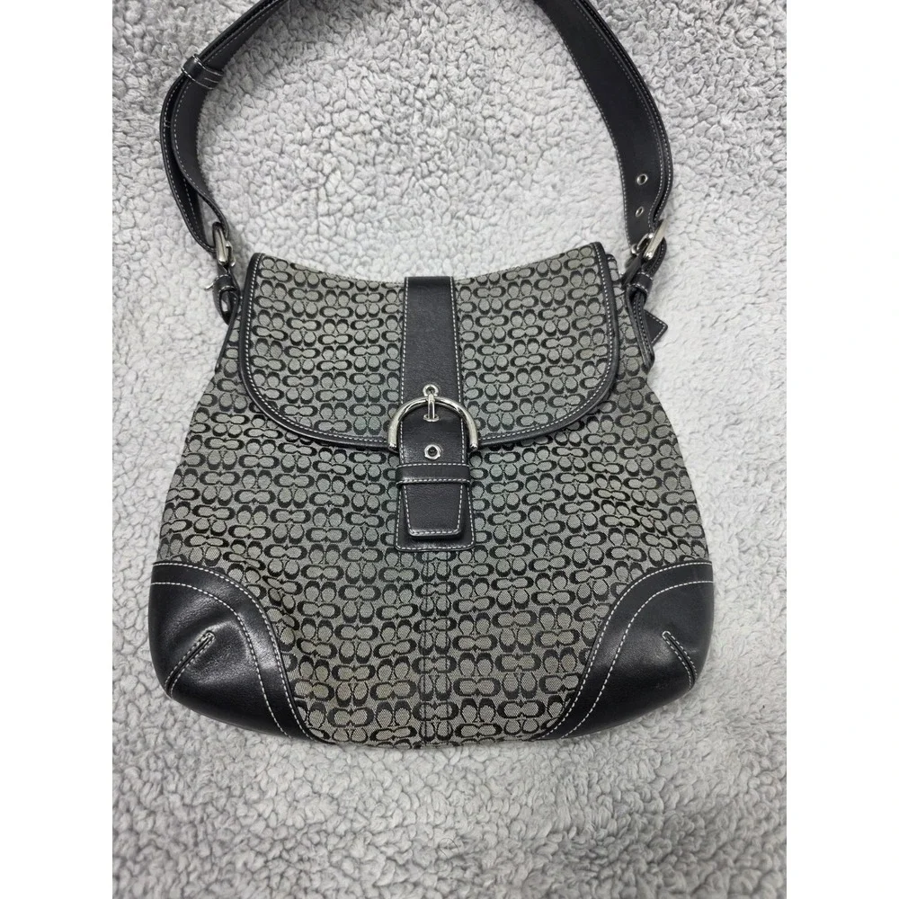 Coach bag overall